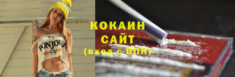 где найти наркотики  Лесозаводск  COCAIN 99% 